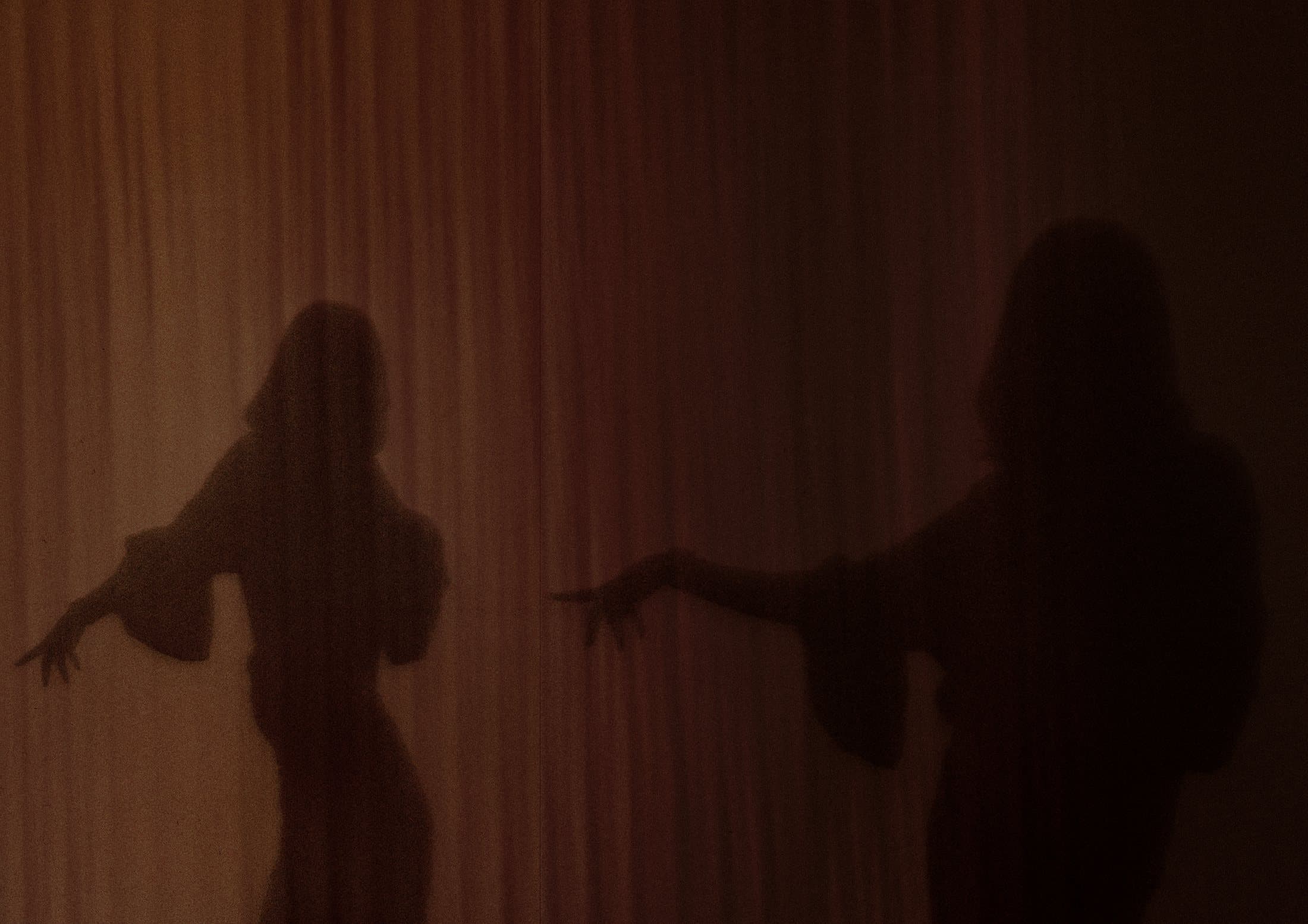 Backlit silhouettes of dancers behind a veil